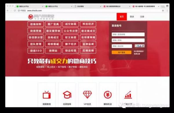 王通：一个转化率高达33%的网站(图1)