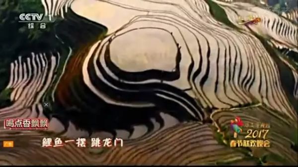 涨姿势!为什么大牌时装在春晚就失去了高级感?(图44) 涨姿势!为什么大牌时装在春晚就失去了高级感?(图44)