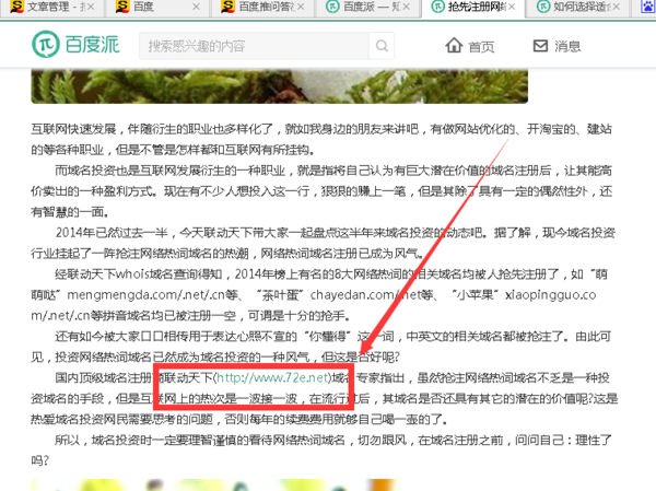 百度系产品新的引流方法：百度派(图1)