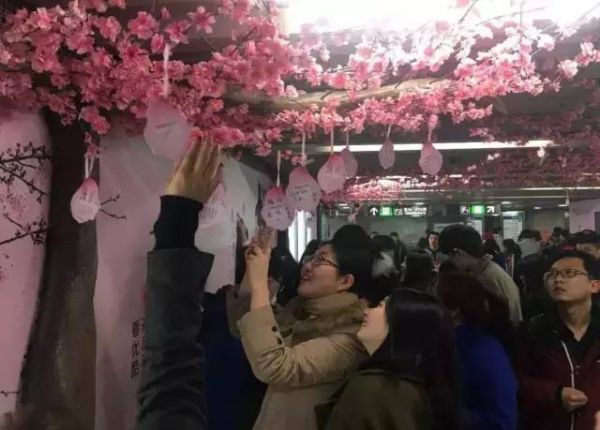 这年头真不是你拍个视频 就能火了(图3) 这年头真不是你拍个视频 就能火了(图3)