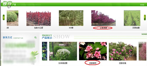 网站常见问题——简述(图3) 网站常见问题——简述(图3)
