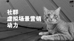 社群是虚拟场景营销的动力