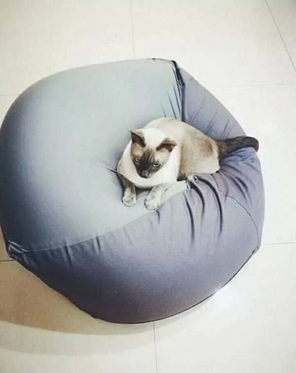趣睡科技旗下品牌8H:为你打造第一次北京瘫(图1)