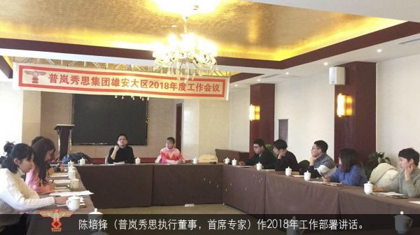 普岚秀思集团雄安大区2018年度工作大会召开(图3)