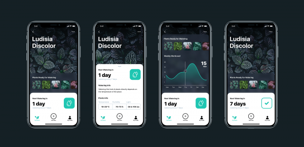 这款帮你科学养护绿植的APP是怎样设计出来的(图2)