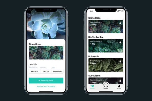 这款帮你科学养护绿植的APP是怎样设计出来的(图4)