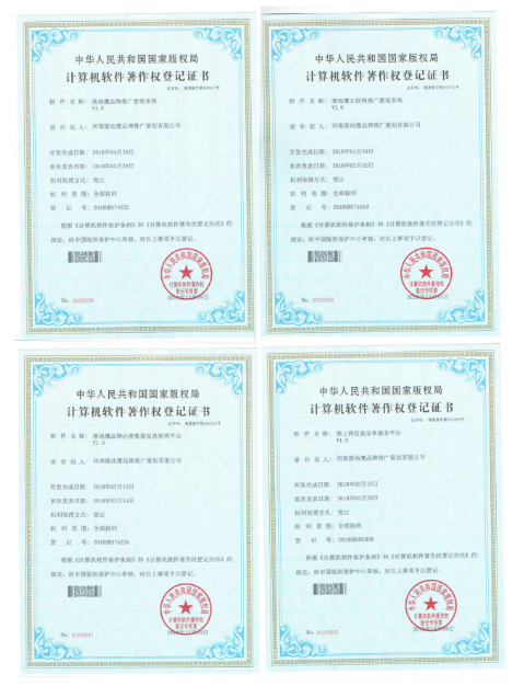 喜讯！落地鹰品牌推广再获2项软件著作权证书！(图2)