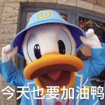 三次创业，初中辍学的他如何布局SEO开上豪车住进大房子?(图4)