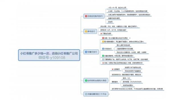 推广方式划分小红书推广多少钱一次才值得我们推广引流(图1)