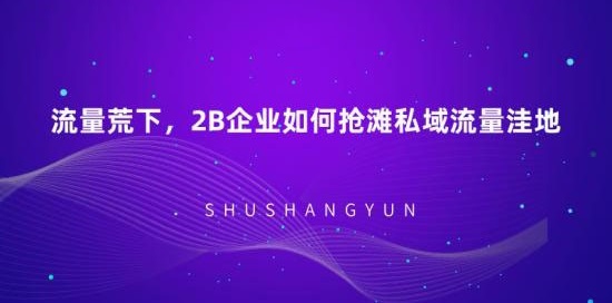 又到双十二 且看销大师如何用“私域流量”大爆发(图1)